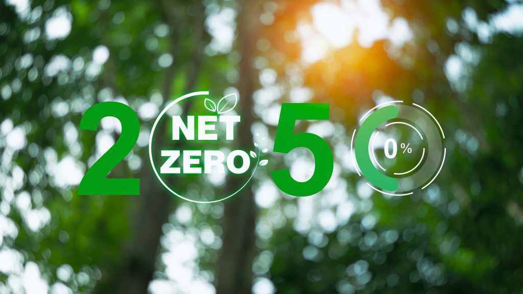 Poster for net zero 2050