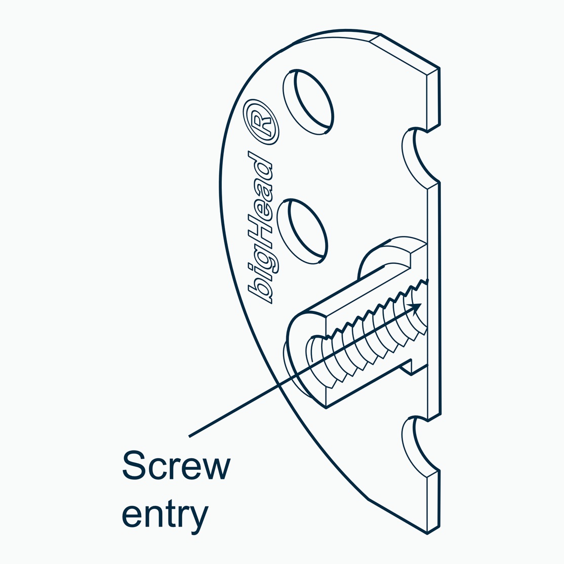 Isometric section view of a bigHead F2 type fastener with B50 large round Head customisation showing screw entry direction